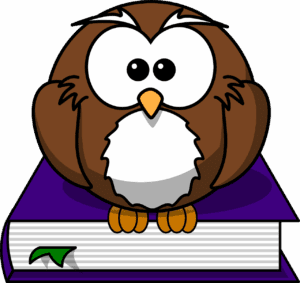 Owl sitting on a purple book